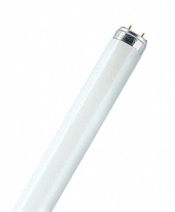 OSRAM-CM L18W/840 PLUS ECO G13 D26mm 590mm (холодный белый 4000К) -лампа